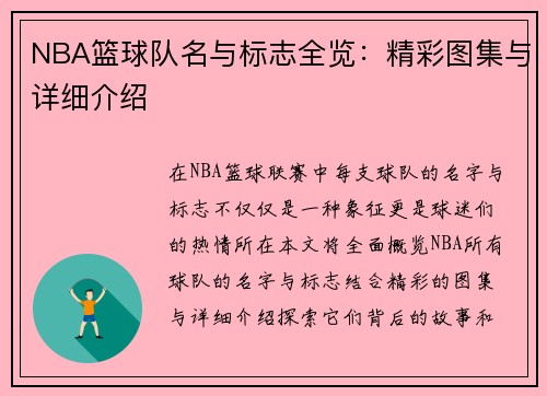 NBA篮球队名与标志全览：精彩图集与详细介绍